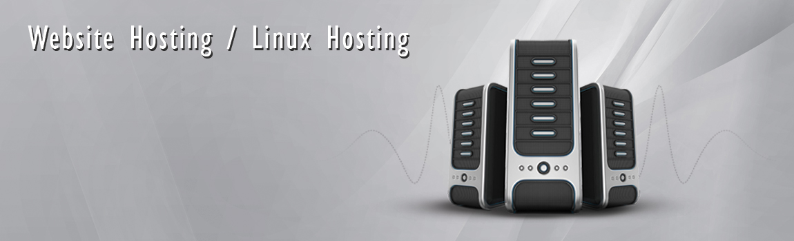 Web Hosting Services